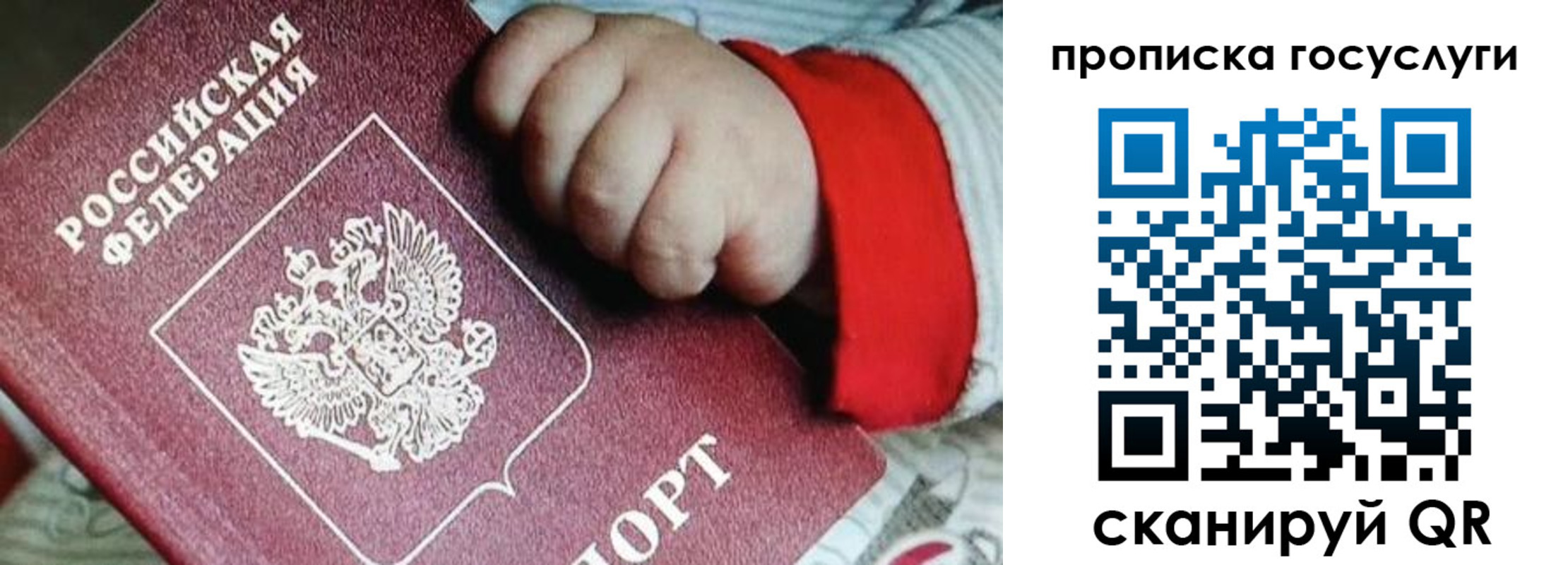 прописка штамп в Николаевске
